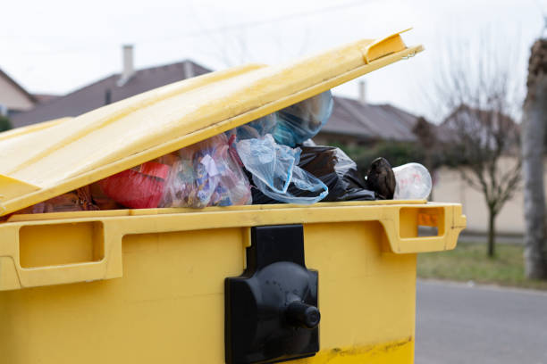 Best Property Management Cleanouts  in St Georges, DE